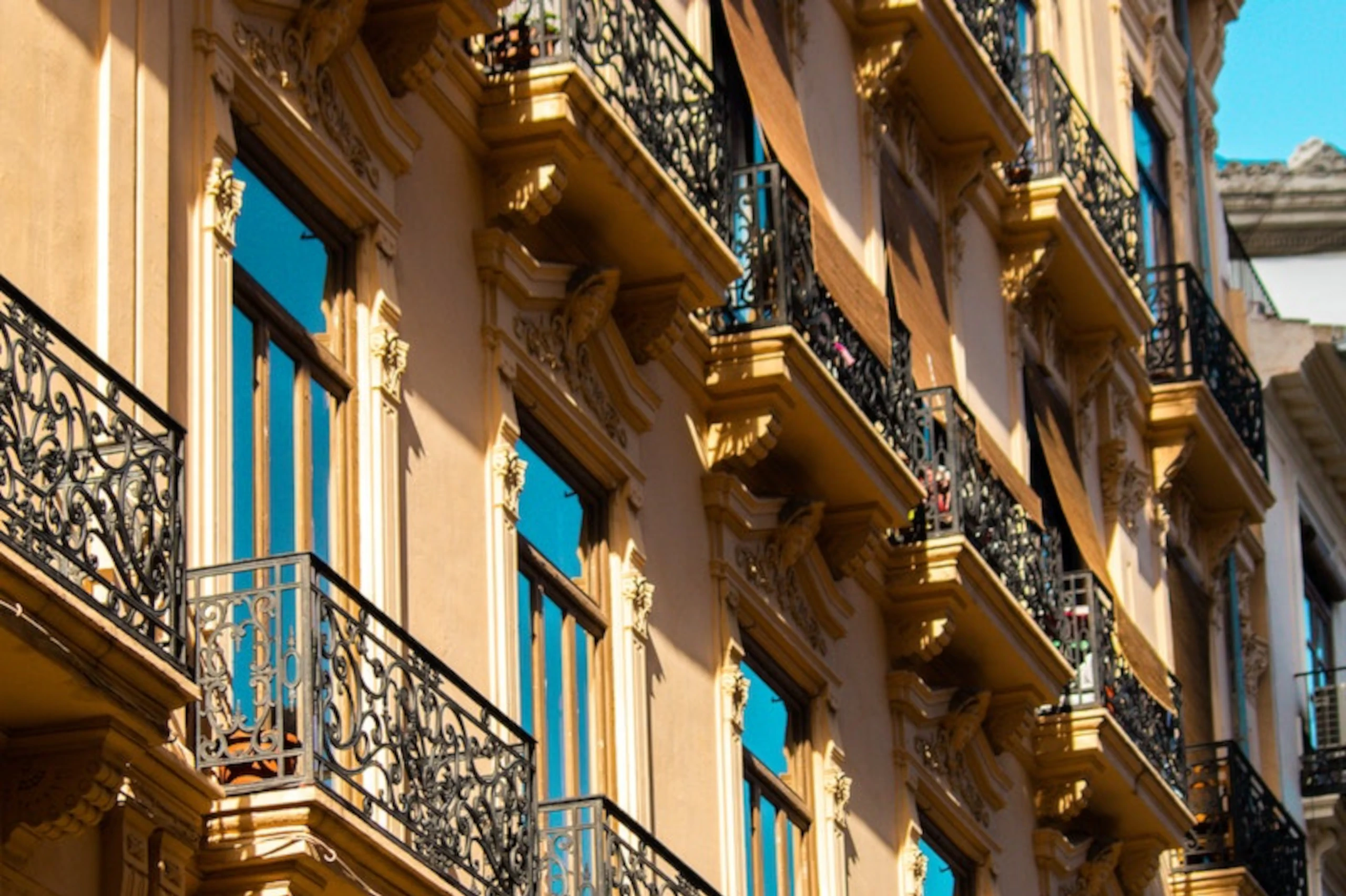 pexels-sofia-mar-15565965